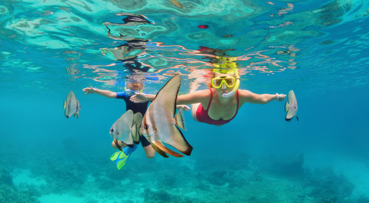 All Cruise Travel