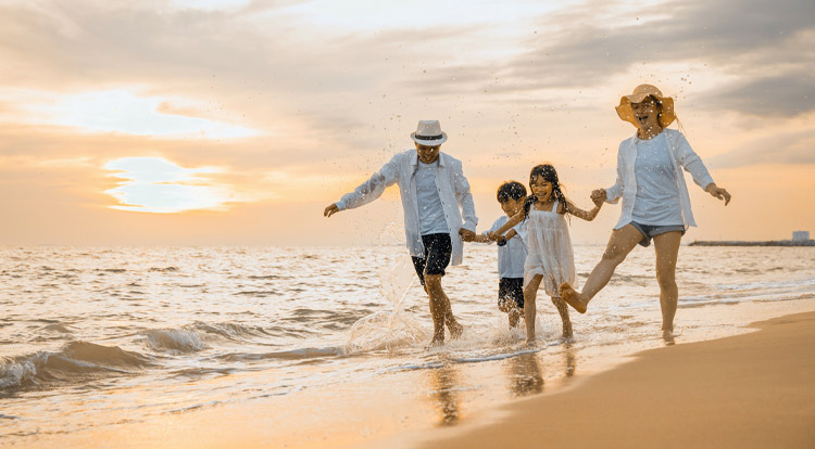 All Cruise Travel